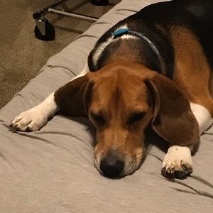 Meet your Posher, Raylene